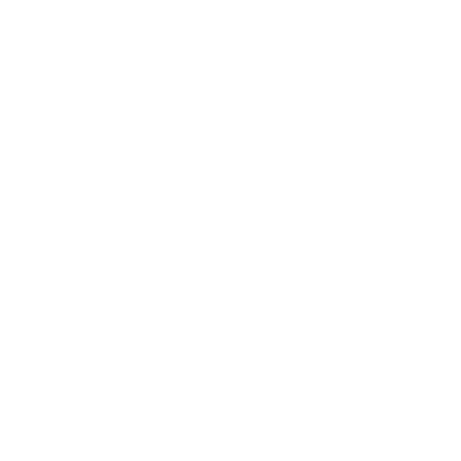 Logo YS