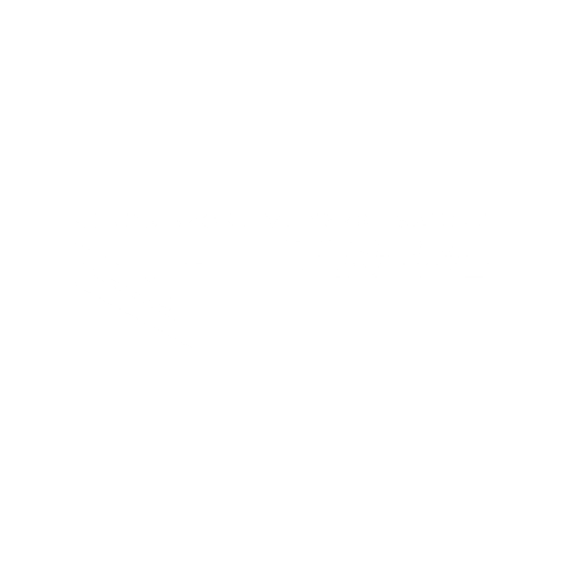 Logo US Terre Sainte